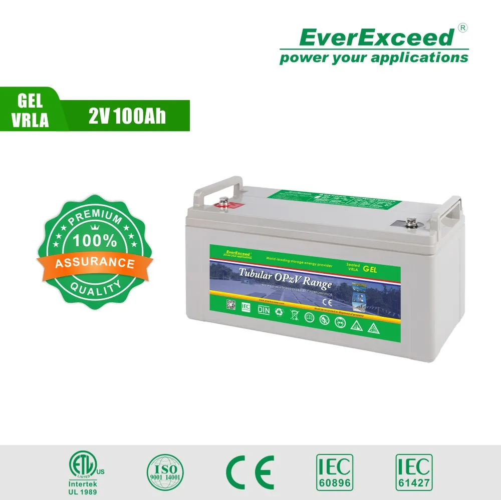 12V Opzv Battery Rechargeable Solar Battery for Solar System