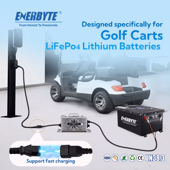 LiFePO4 Battery/Lithium Battery/Rechargeable Battery 48V150ah for Golf Cart/ Electric Vehicle Battery/ Battery Pack with Battery Charger